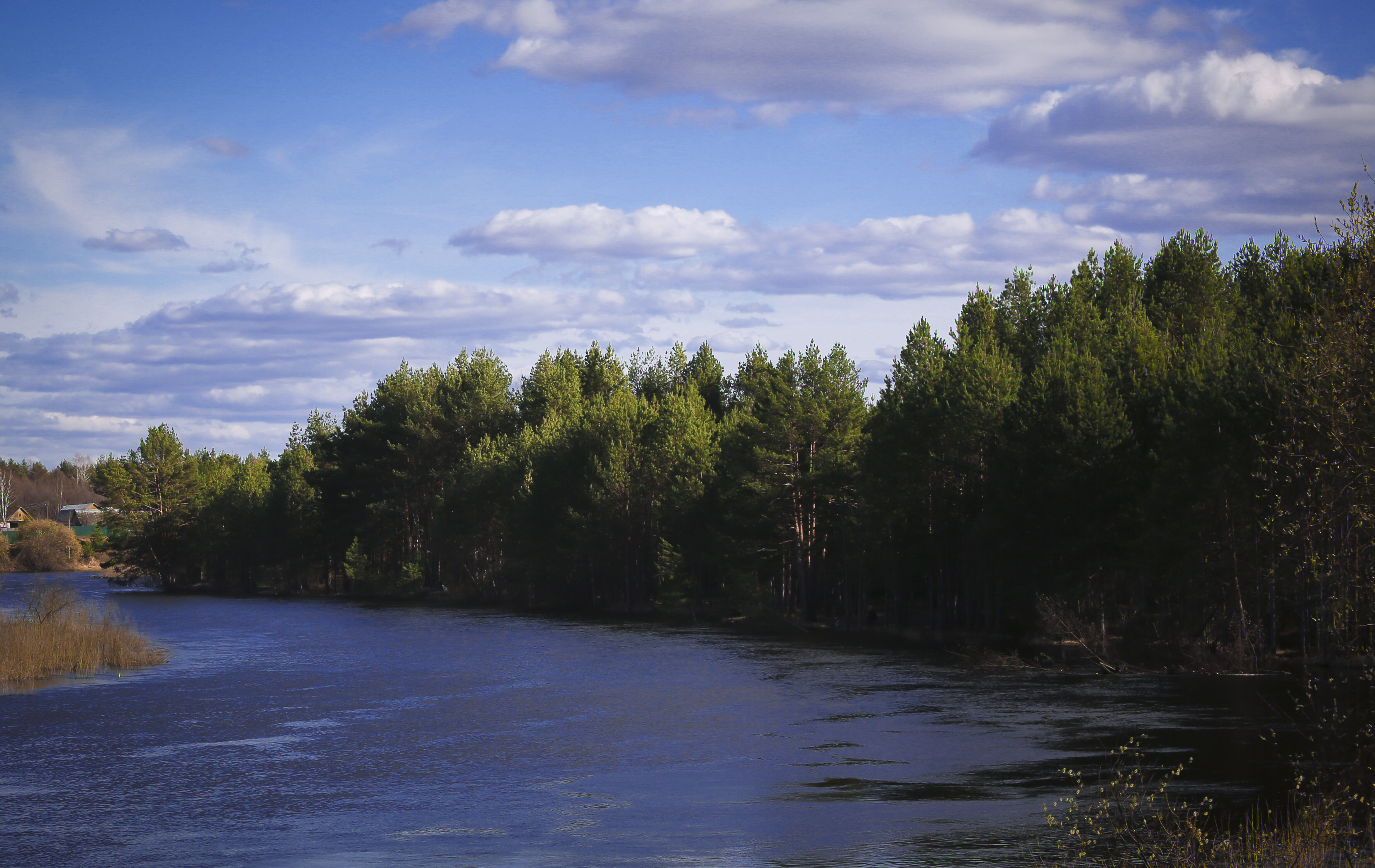 Olgakirpi — фотоистория — 29 сентября 2025 года