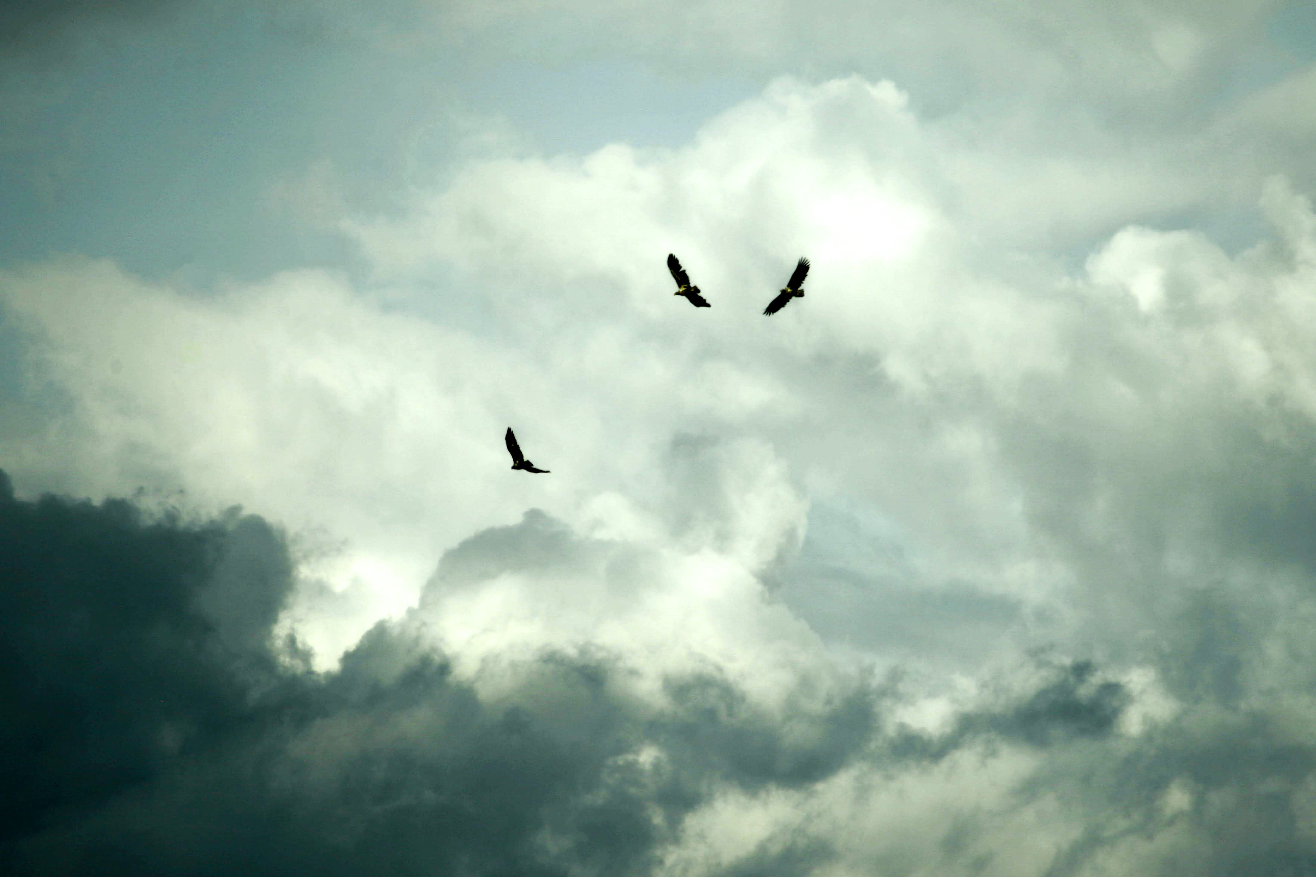 Назар — фотоистория — 04 октября 2025 года