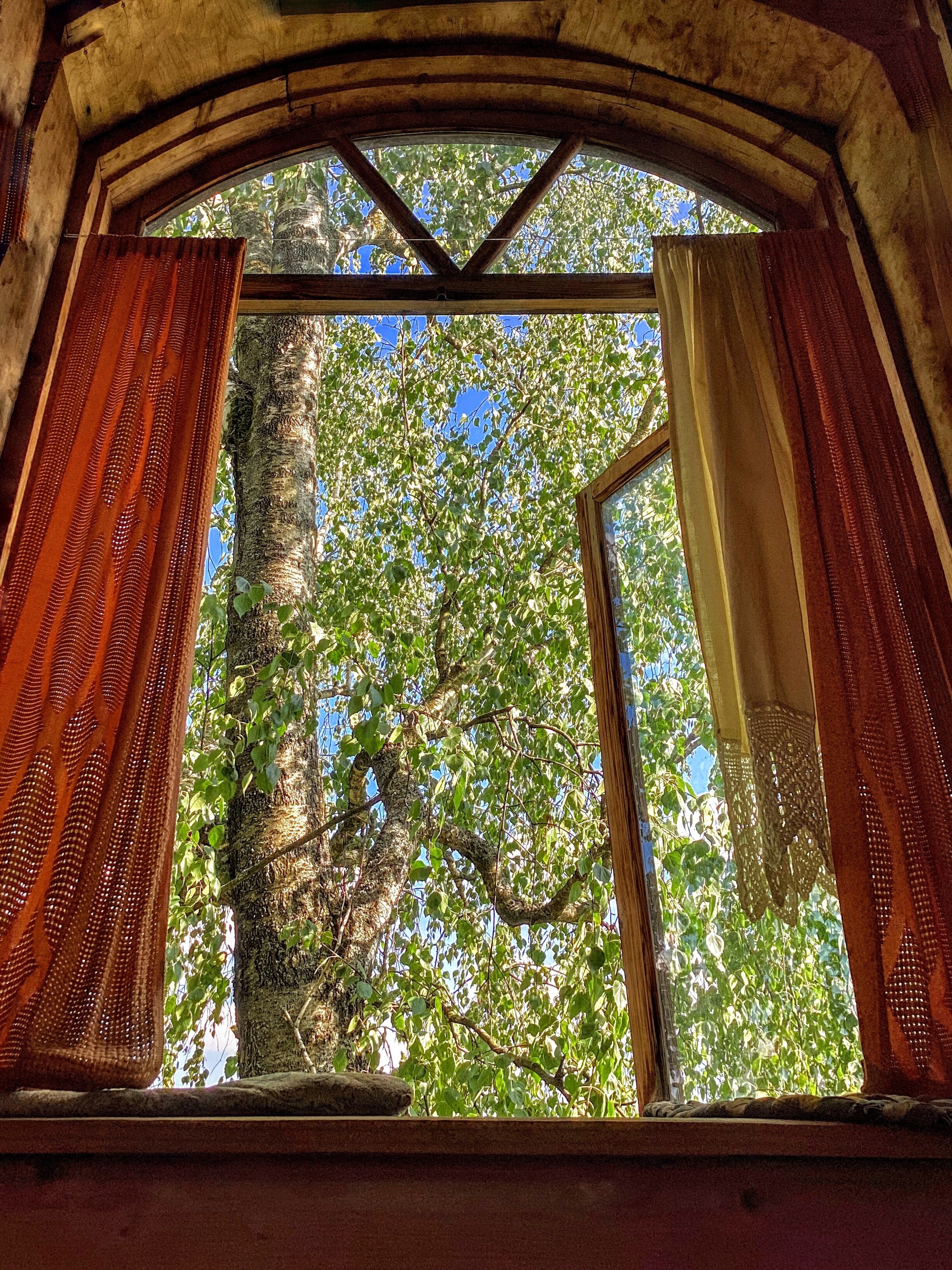 Назар — фотоистория — 04 октября 2025 года