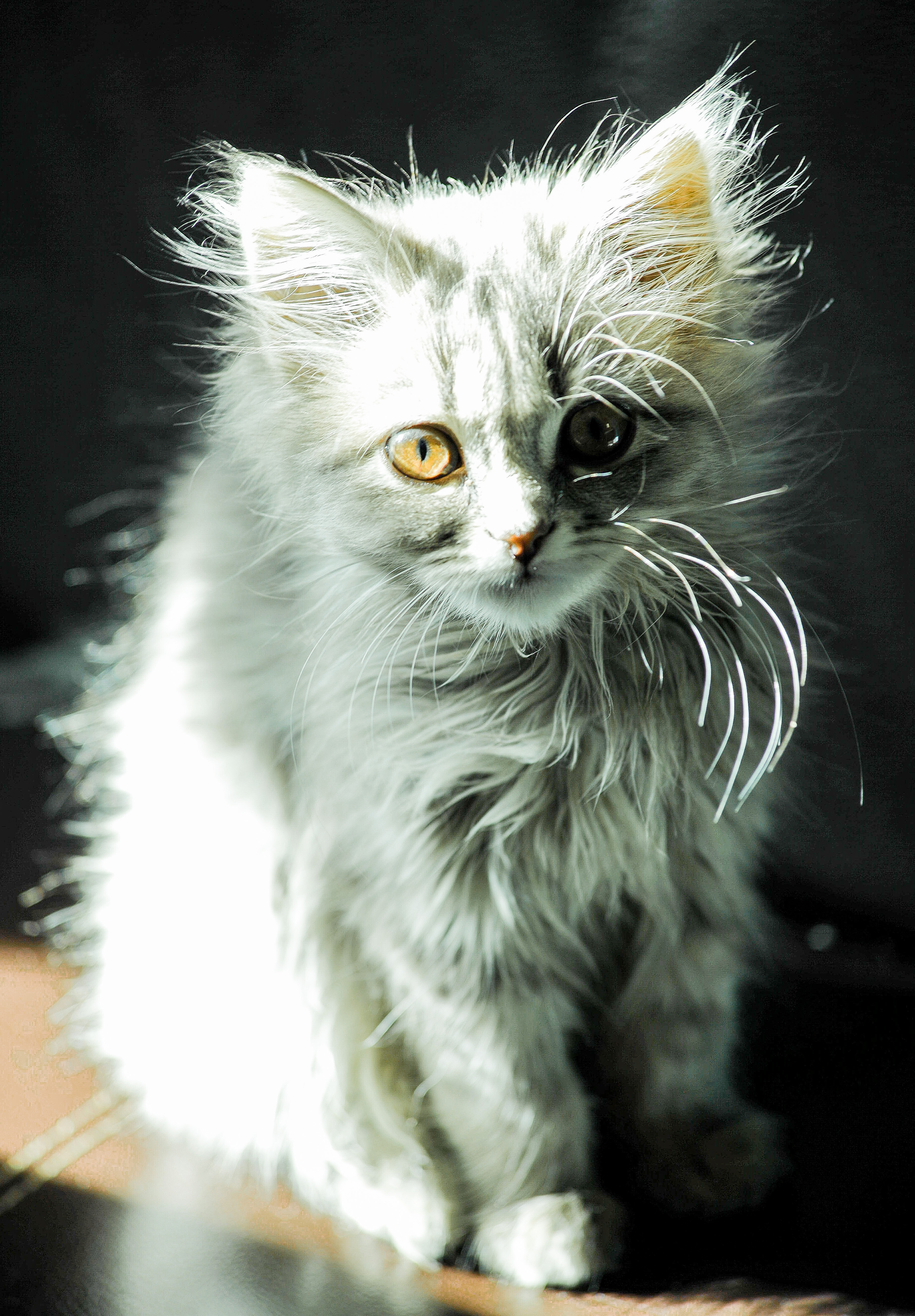 Назар — фотоистория — 04 октября 2025 года