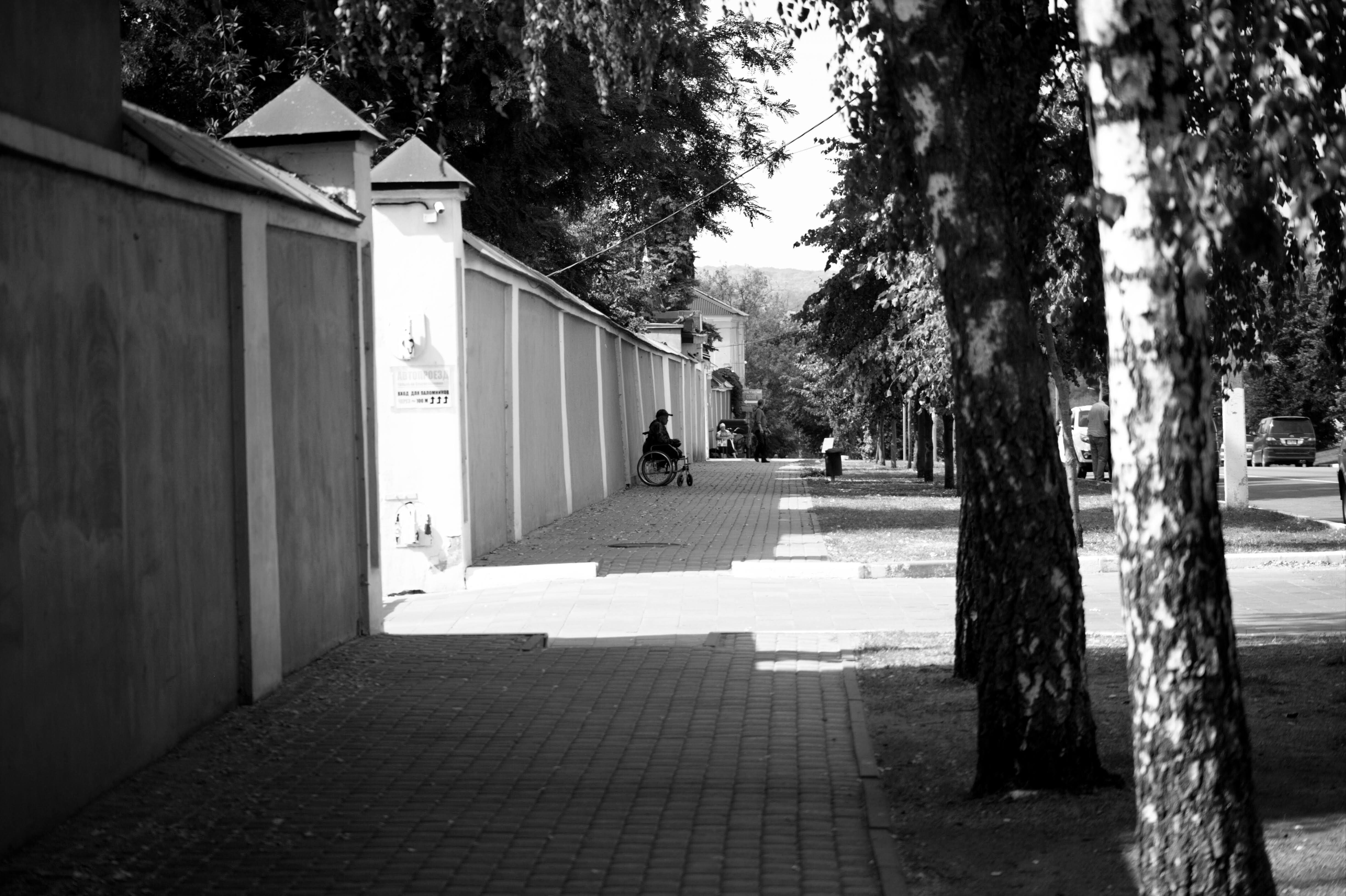 Назар — фотоистория — 04 октября 2025 года