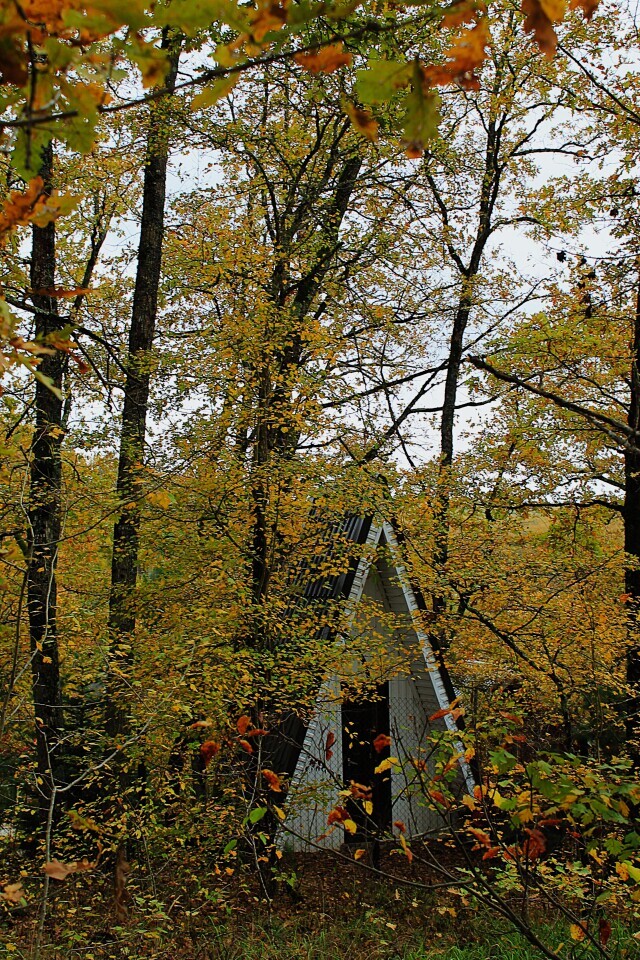 домик в лесу (1)