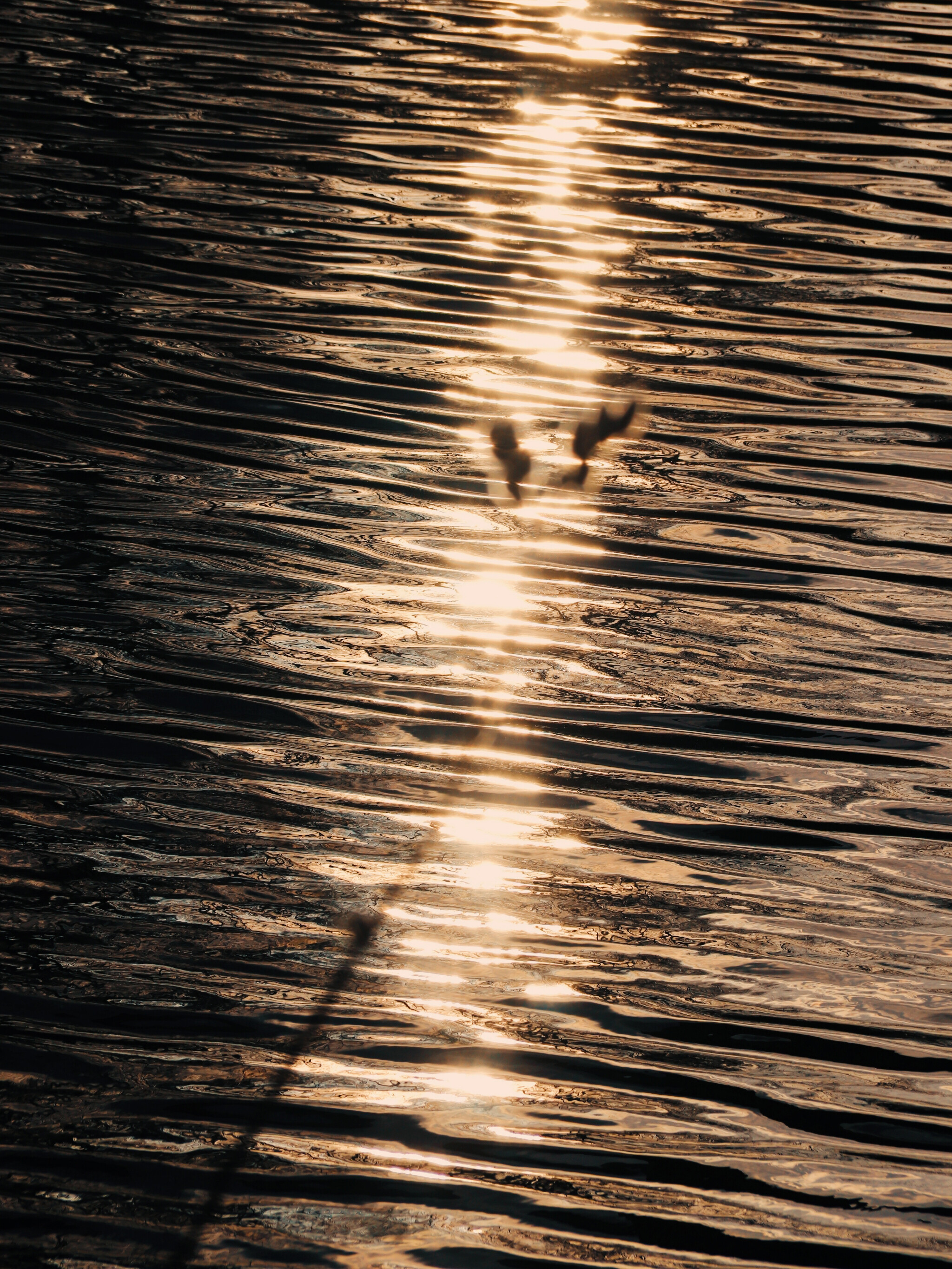 Фотопроект «Танец света и воды» представляет собой захватывающее визуальное путешествие, где свет и вода становятся главными героями. Вода, словно... (10)