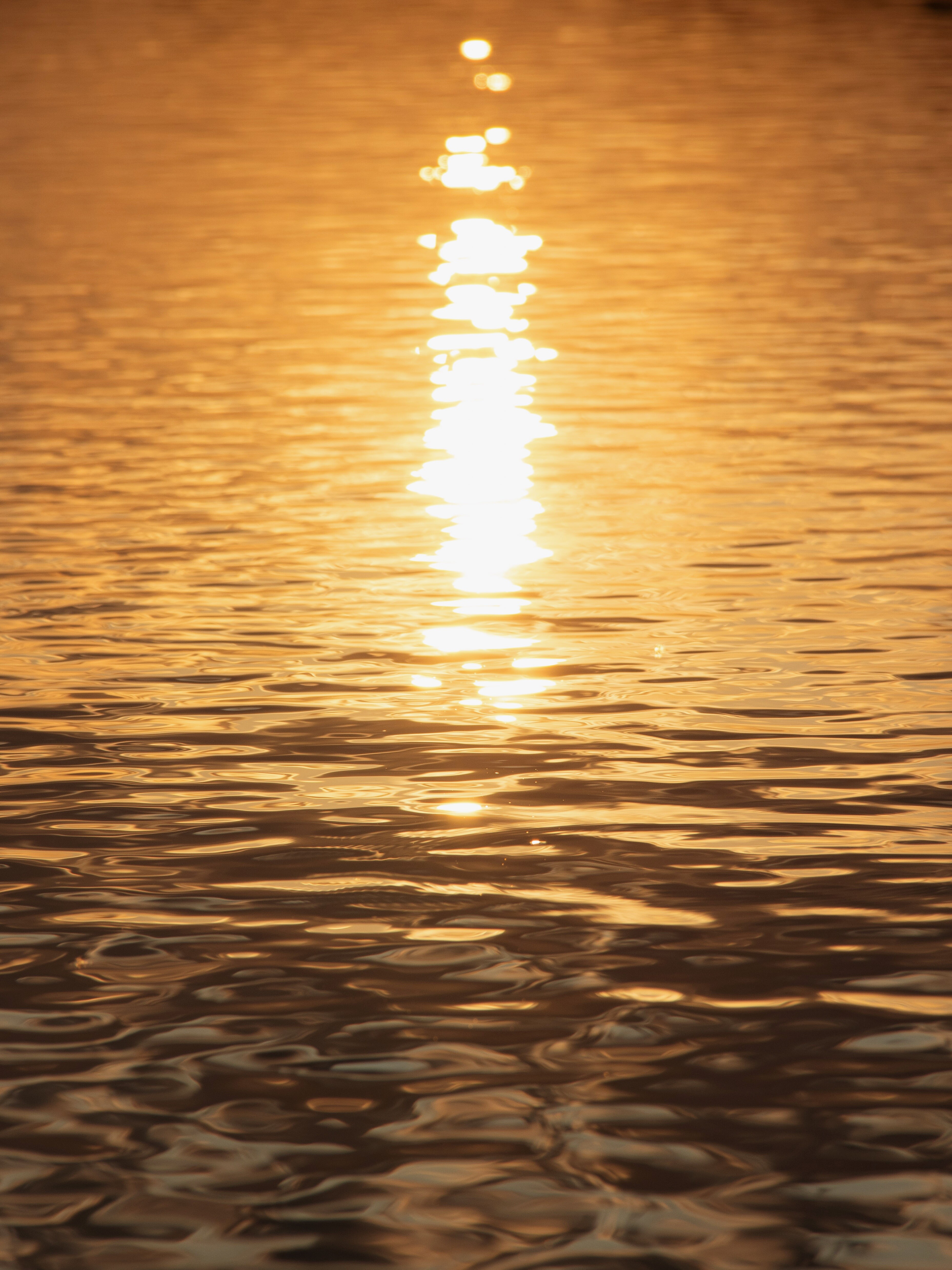 Фотопроект «Танец света и воды» представляет собой захватывающее визуальное путешествие, где свет и вода становятся главными героями. Вода, словно... (9)