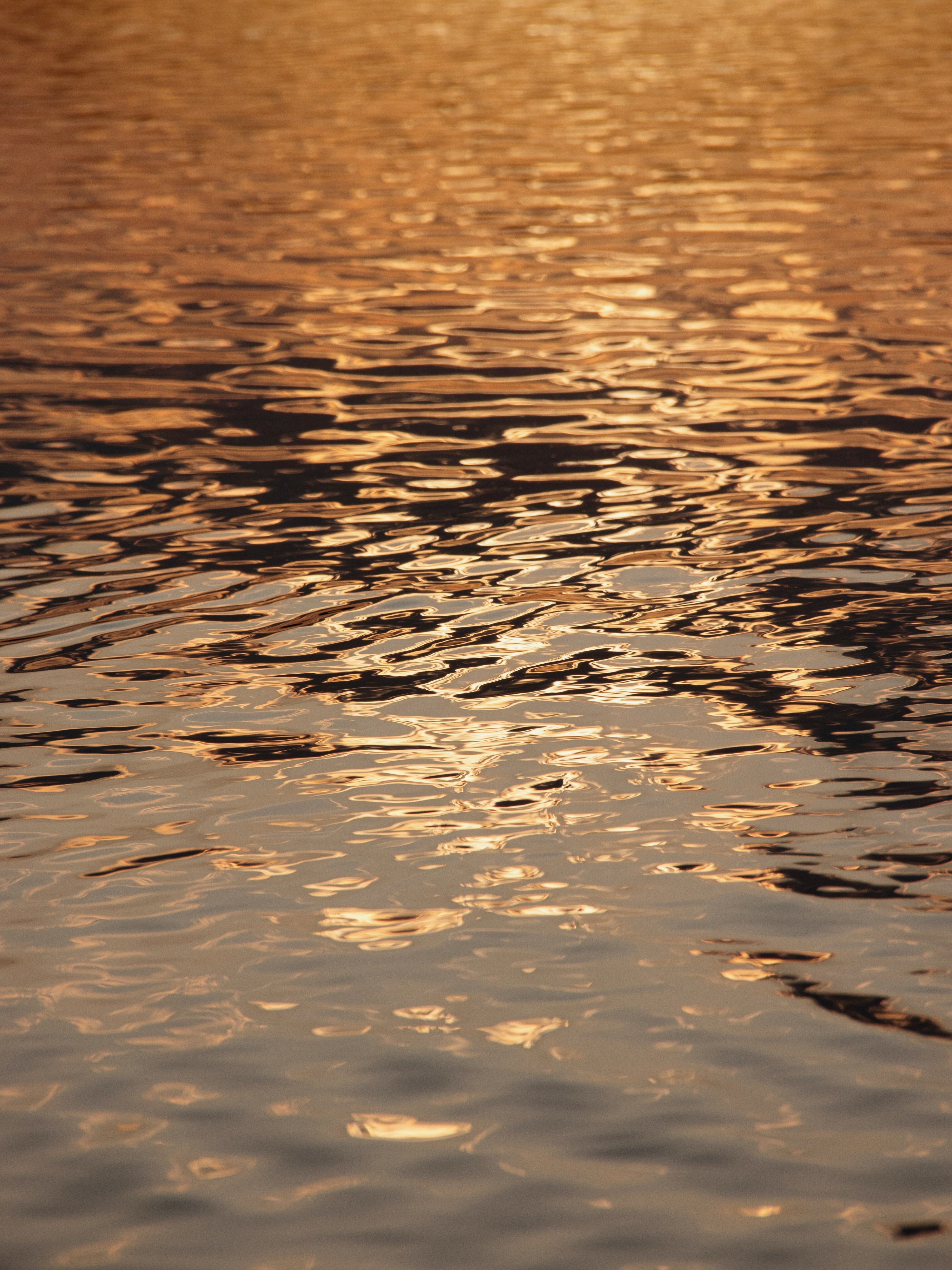 Фотопроект «Танец света и воды» представляет собой захватывающее визуальное путешествие, где свет и вода становятся главными героями. Вода, словно... (8)