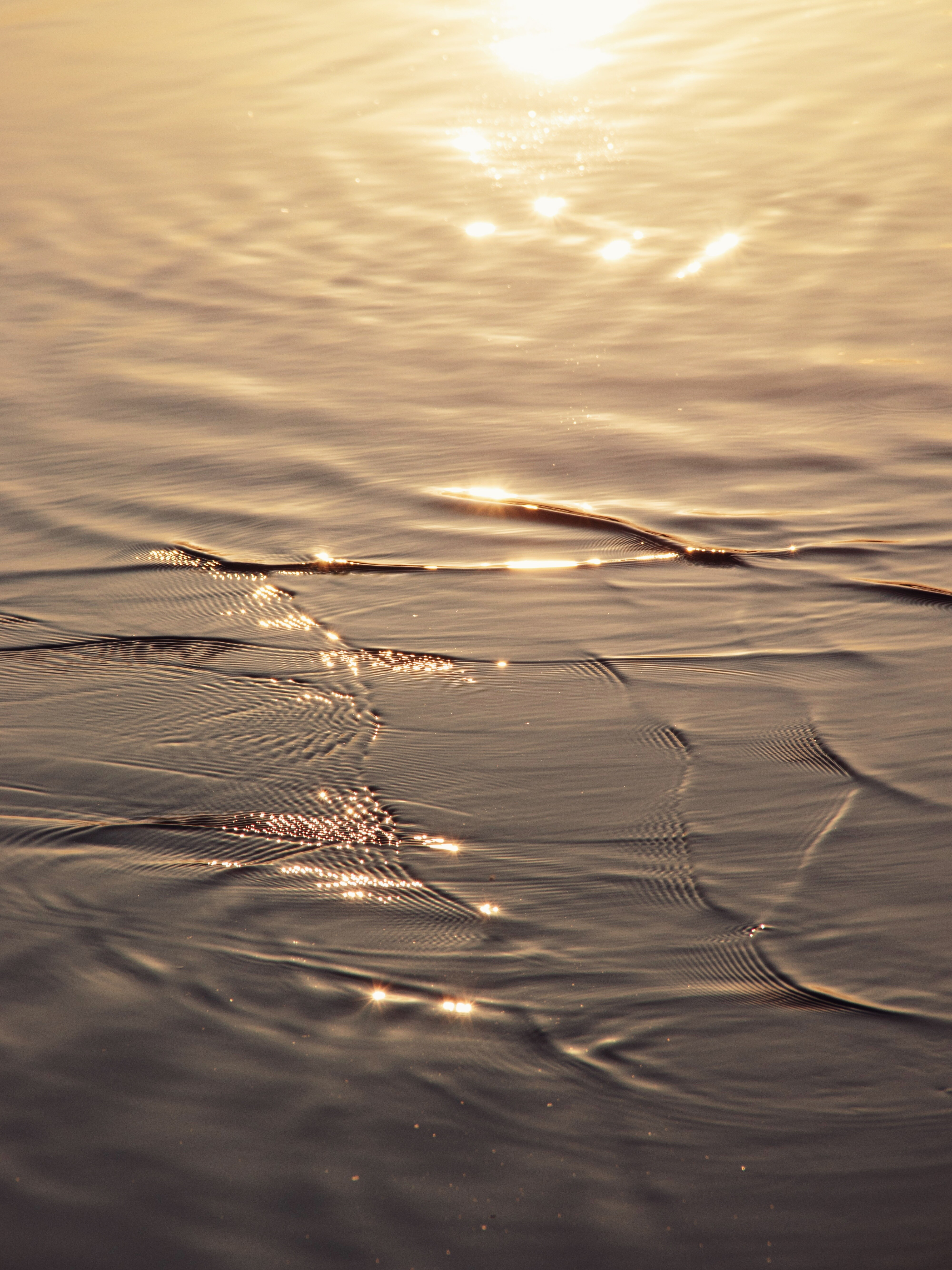 Фотопроект «Танец света и воды» представляет собой захватывающее визуальное путешествие, где свет и вода становятся главными героями. Вода, словно... (7)