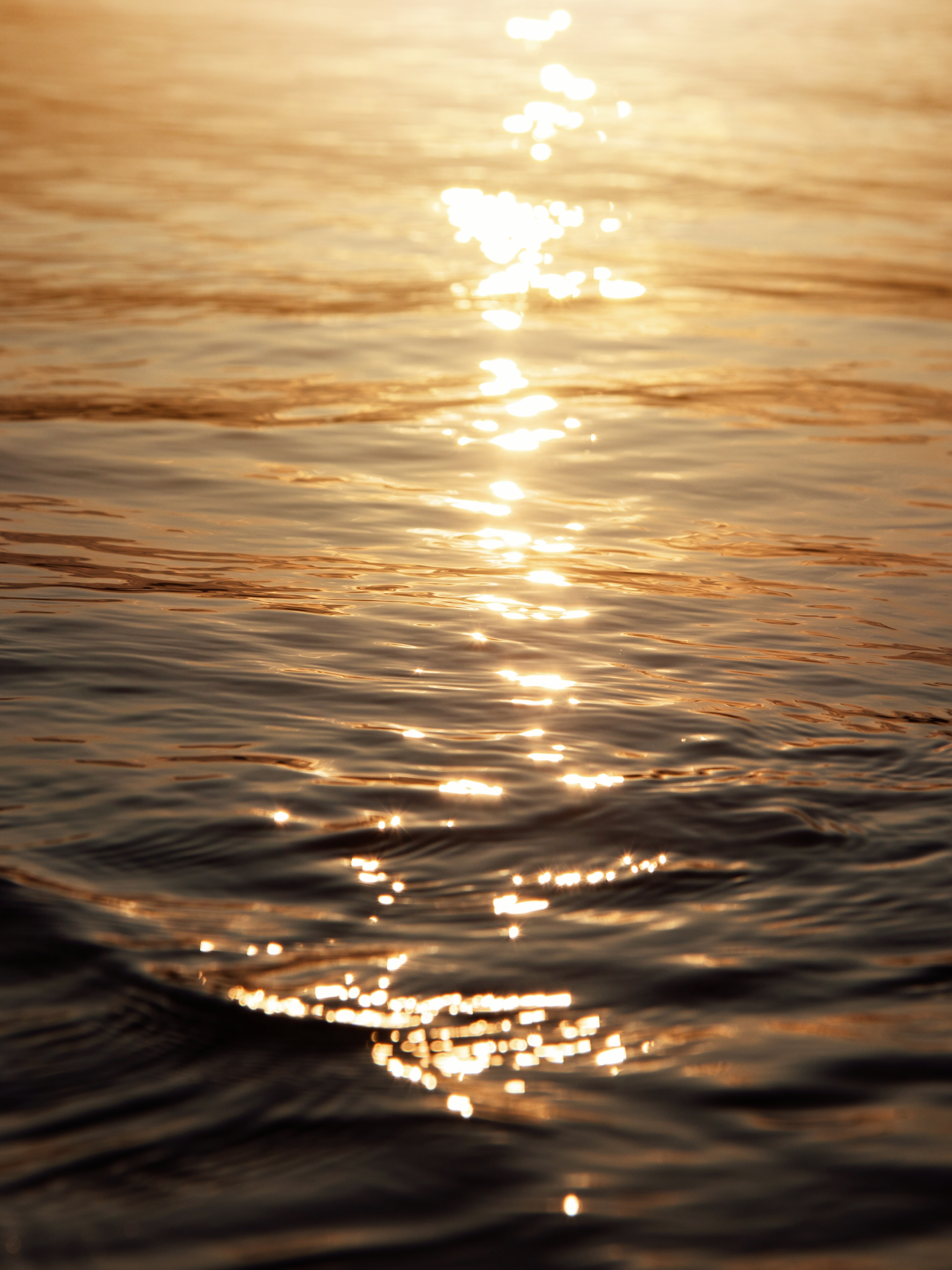 Фотопроект «Танец света и воды» представляет собой захватывающее визуальное путешествие, где свет и вода становятся главными героями. Вода, словно... (6)