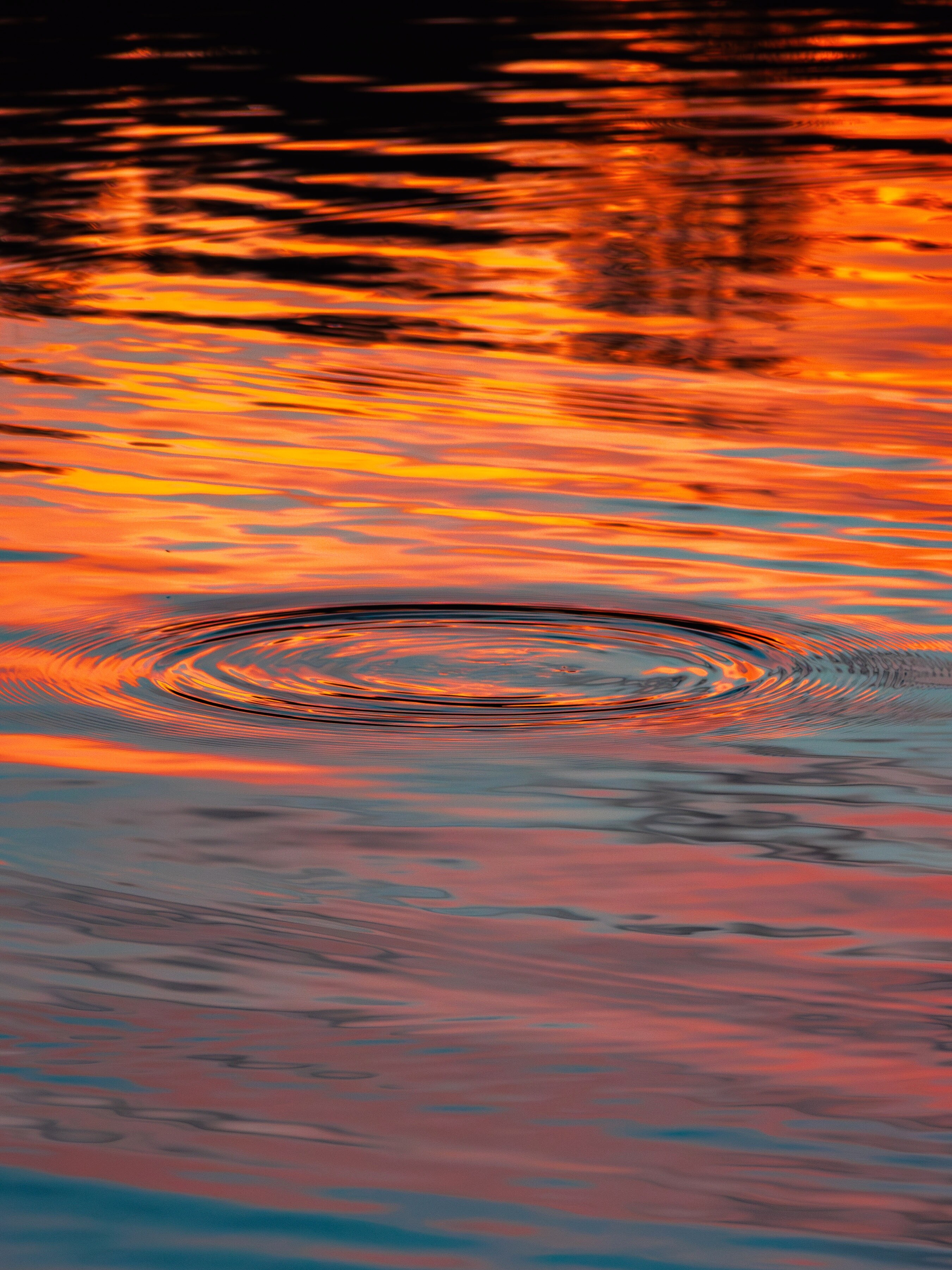 Фотопроект «Танец света и воды» представляет собой захватывающее визуальное путешествие, где свет и вода становятся главными героями. Вода, словно... (4)
