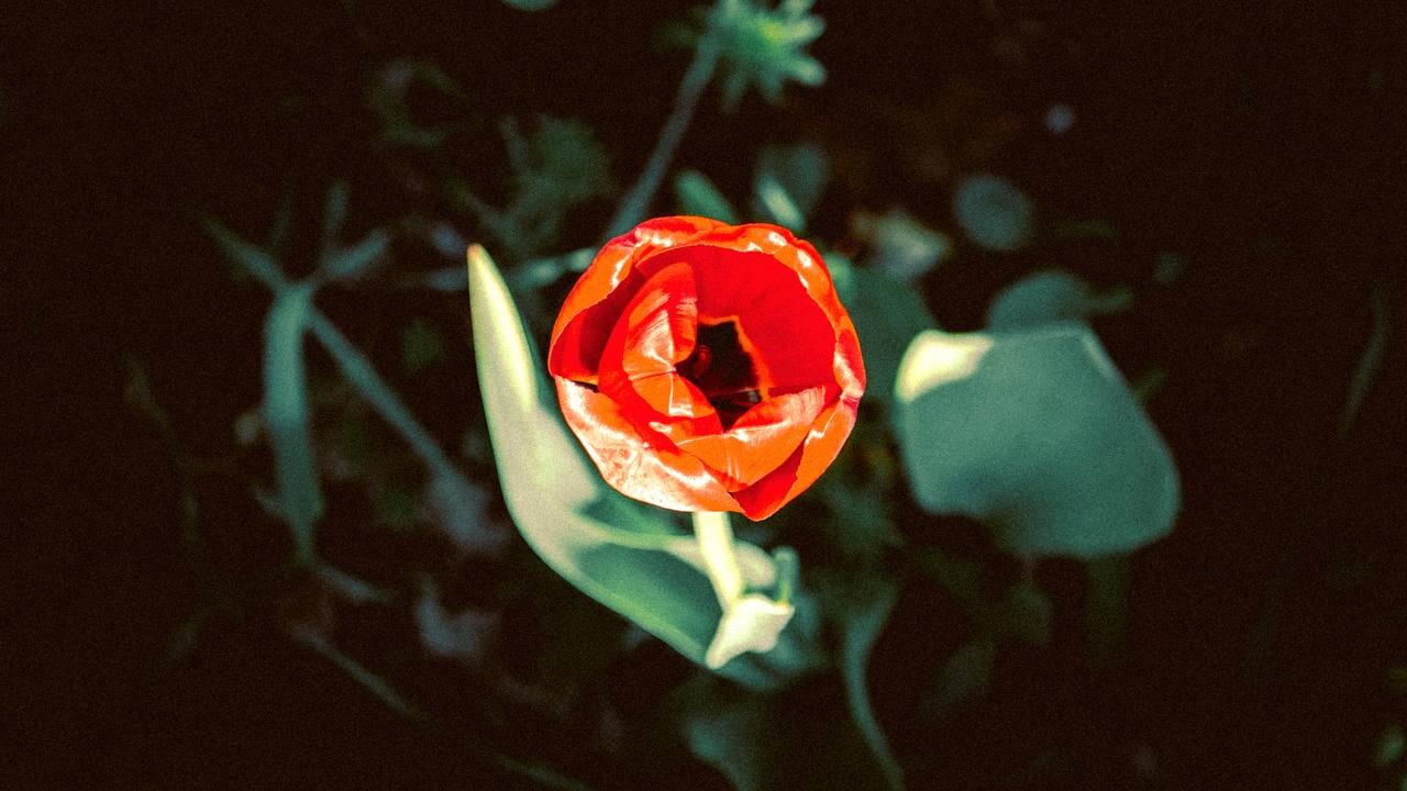 Nikita Petrov — фотоистория — 07 ноября 2025 года