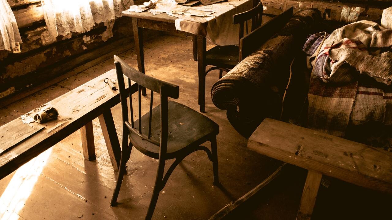 Nikita Petrov — фотоистория — 07 ноября 2025 года