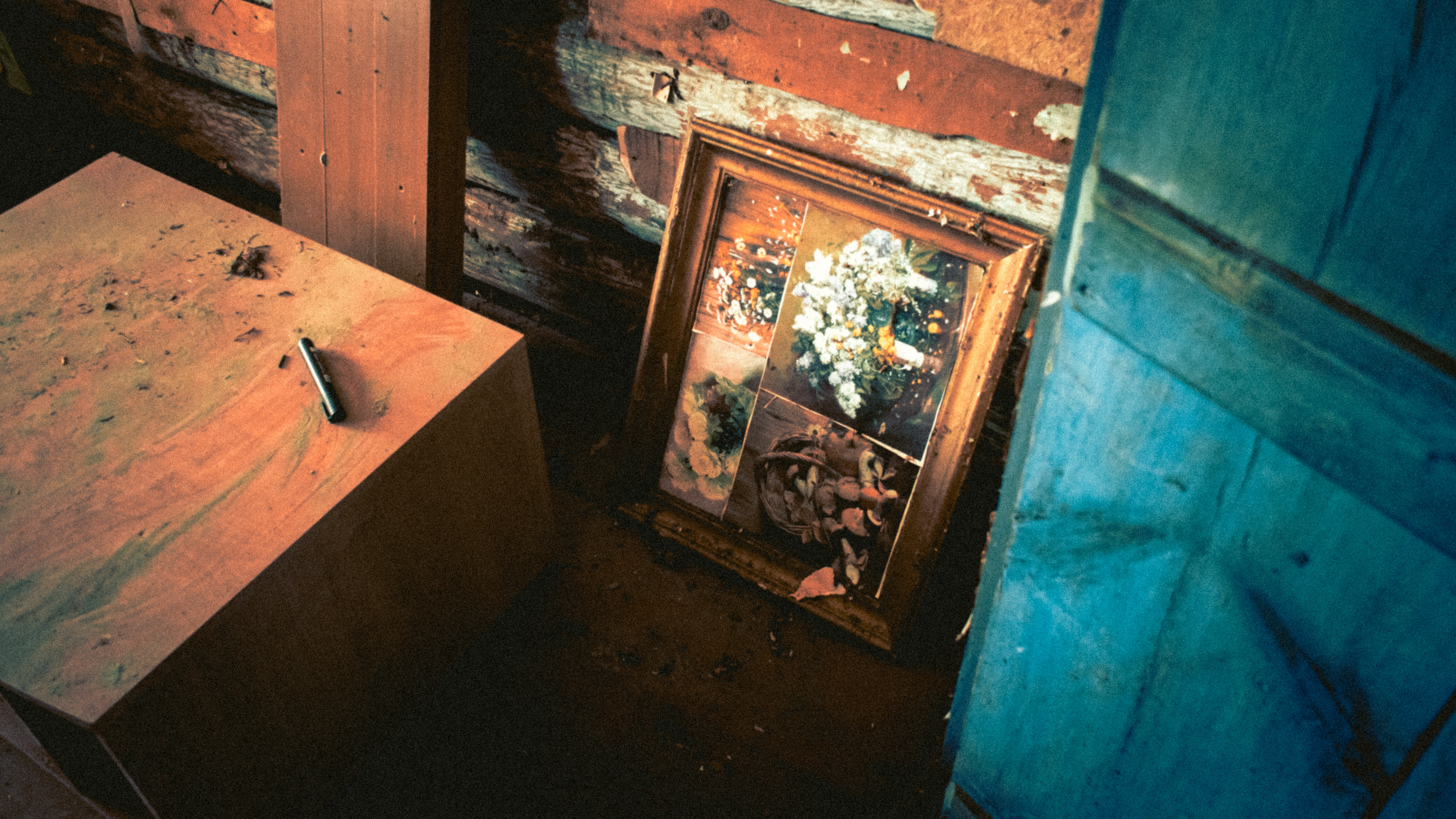 Nikita Petrov — фотоистория — 07 ноября 2025 года