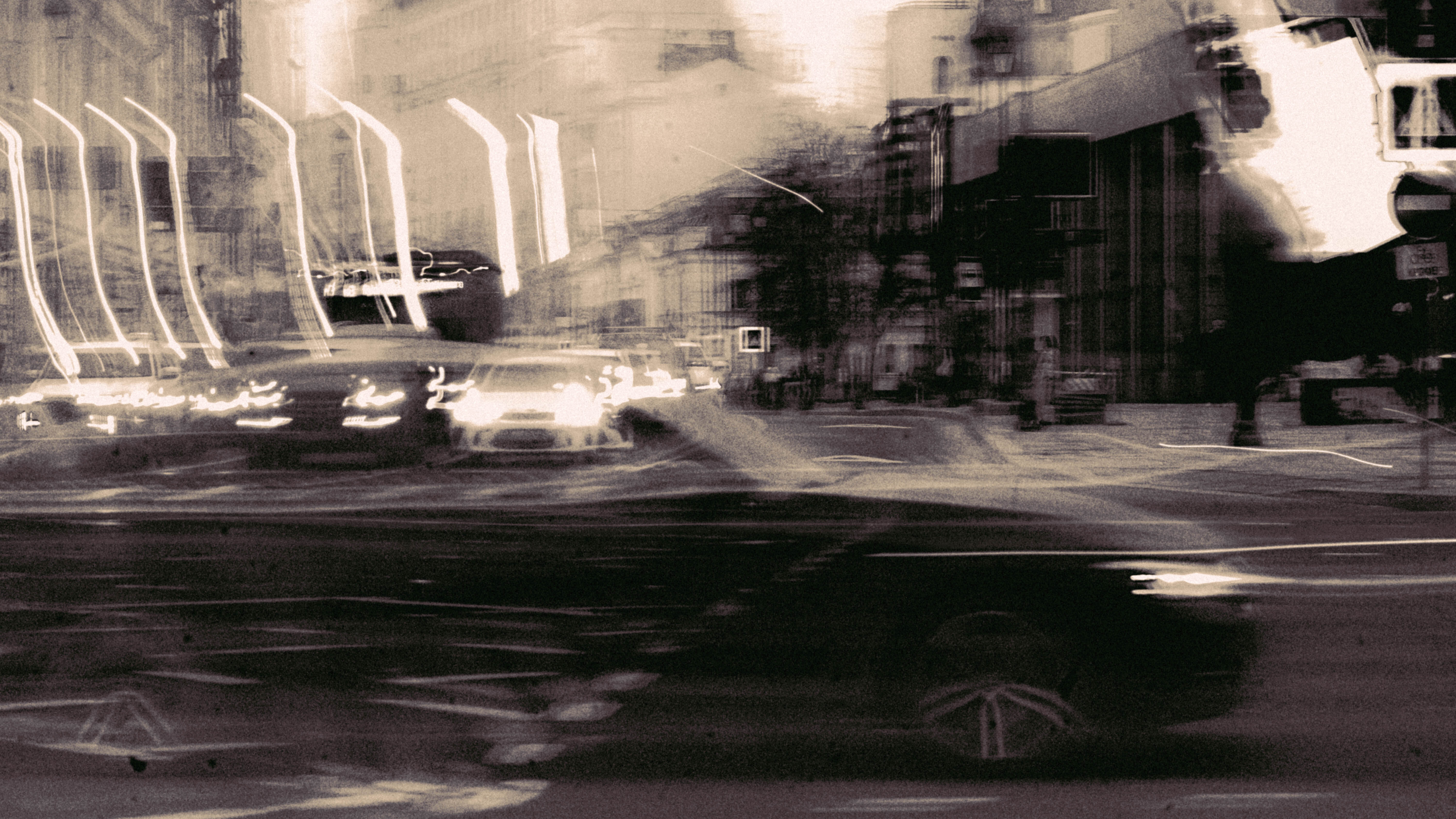 Nikita Petrov — фотоистория — 07 ноября 2025 года