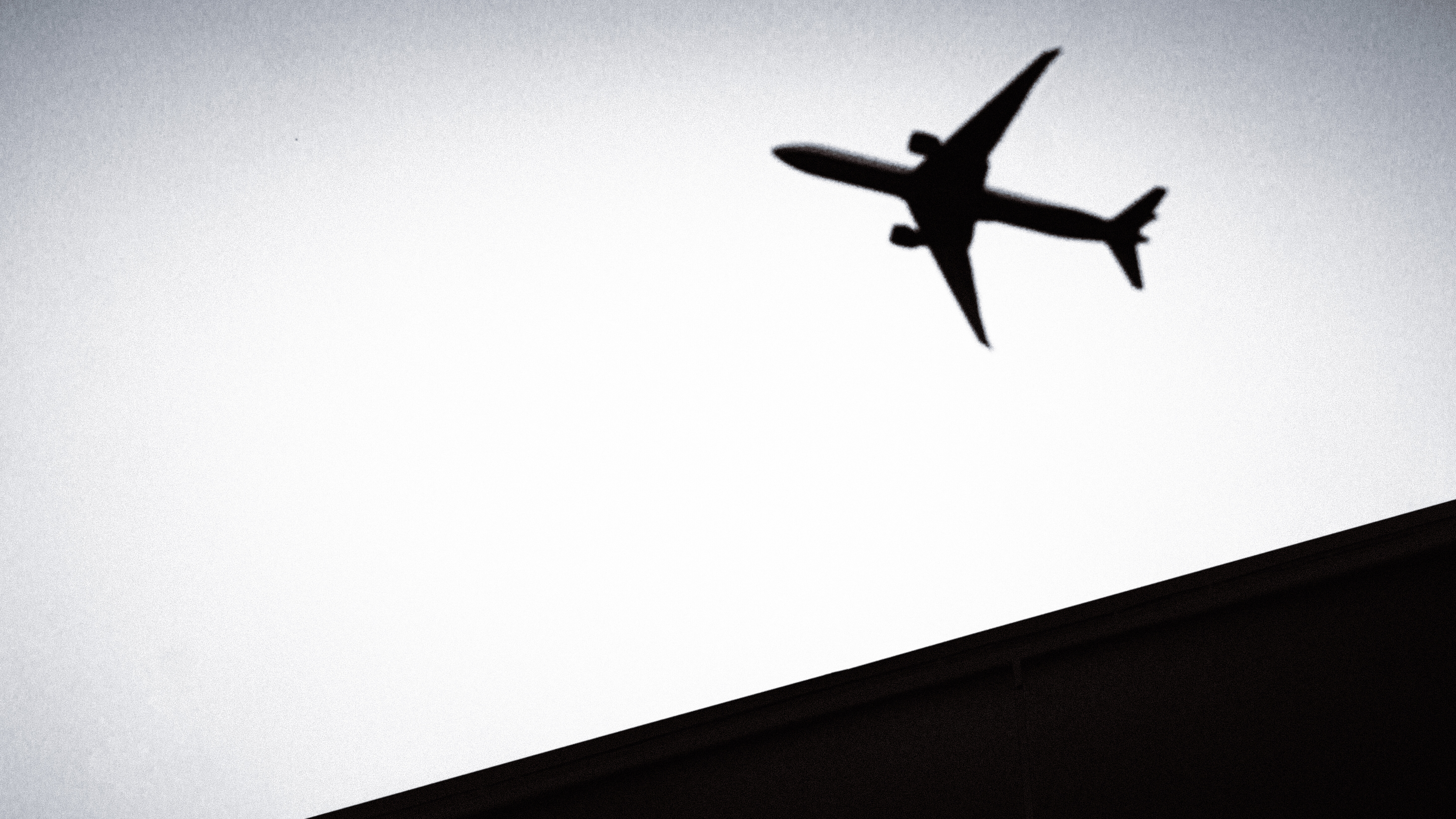 Nikita Petrov — фотоистория — 07 ноября 2025 года