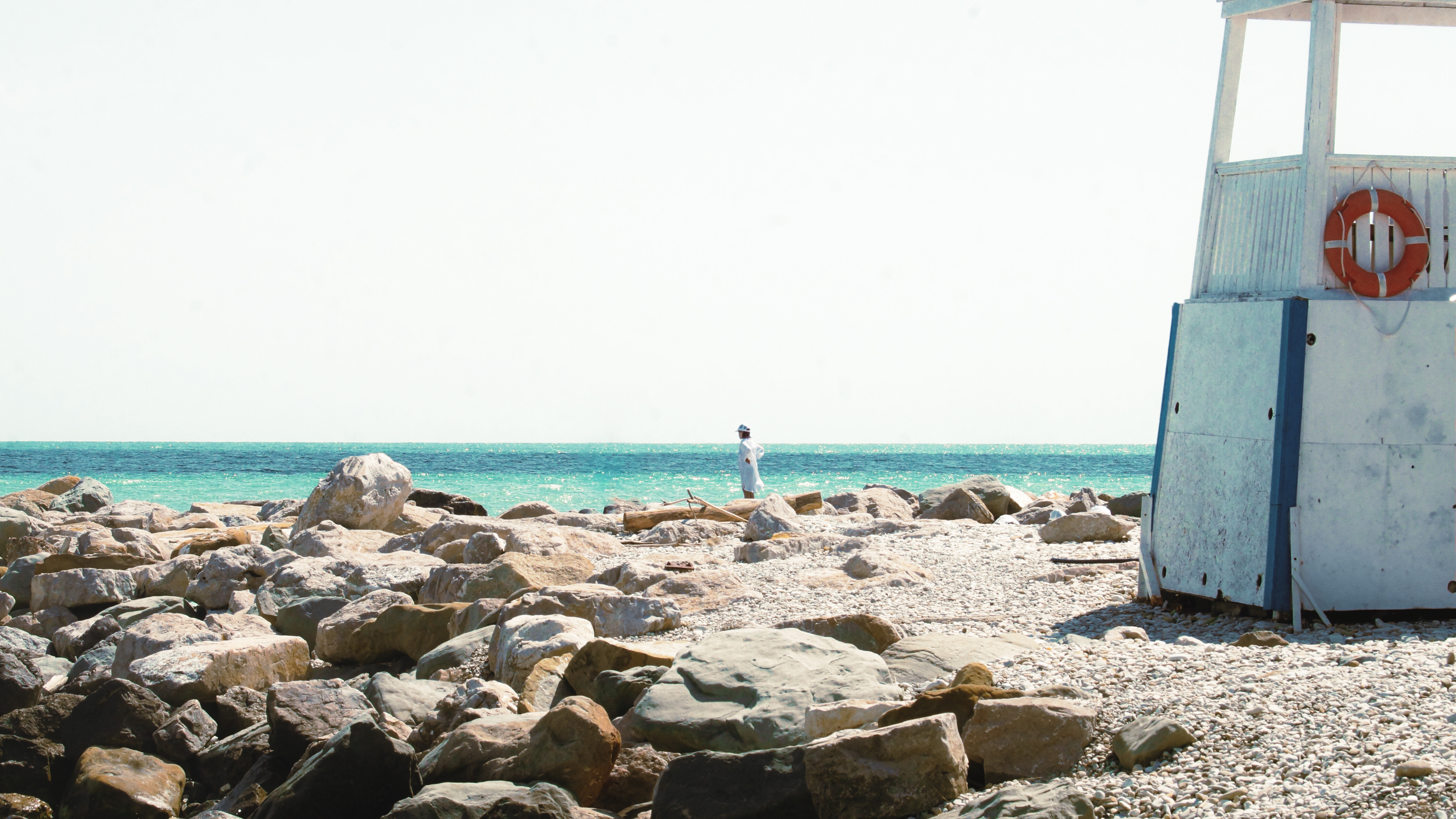 Nikita Petrov — фотоистория — 23 декабря 2025 года