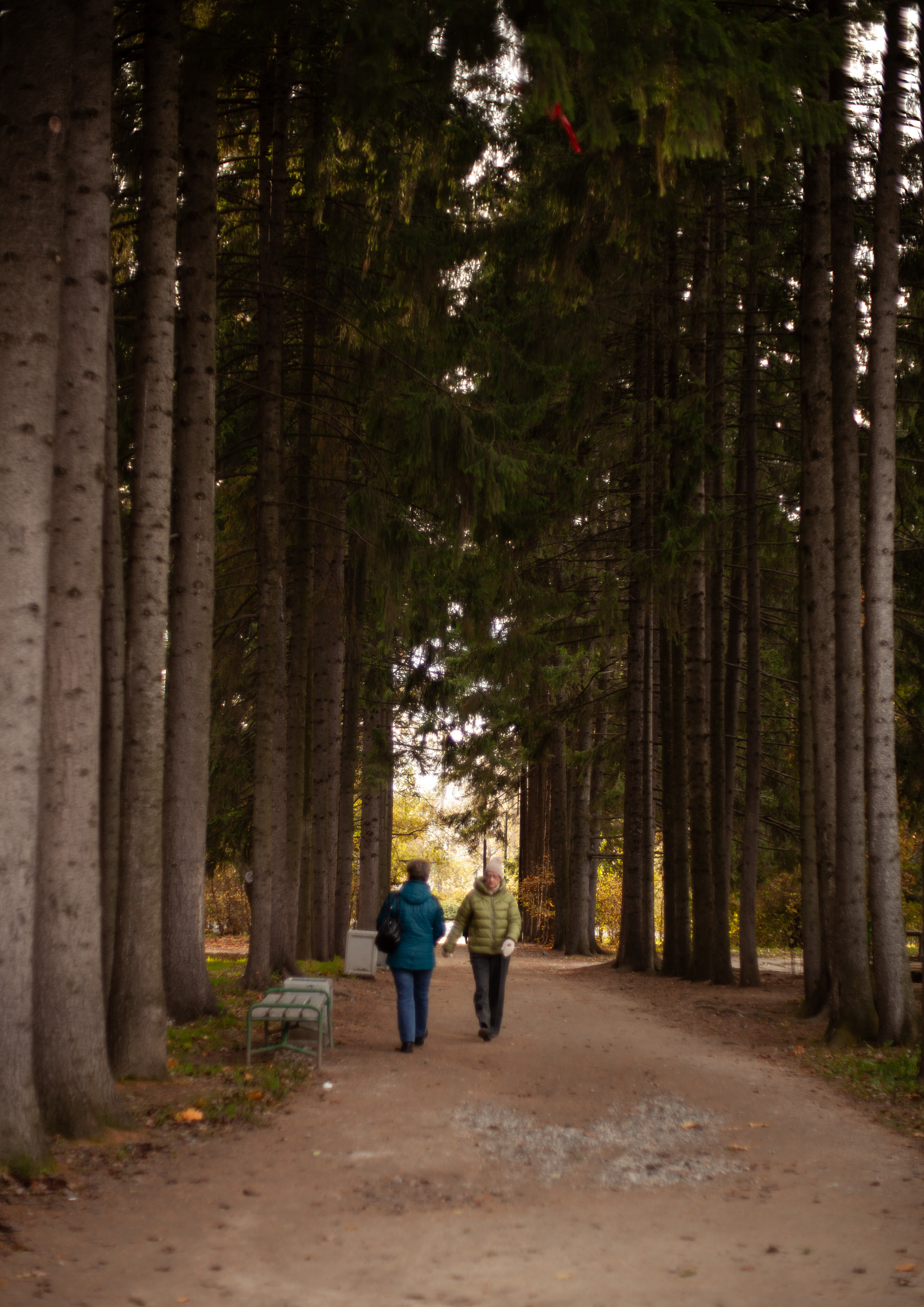 Пока так.  (9)