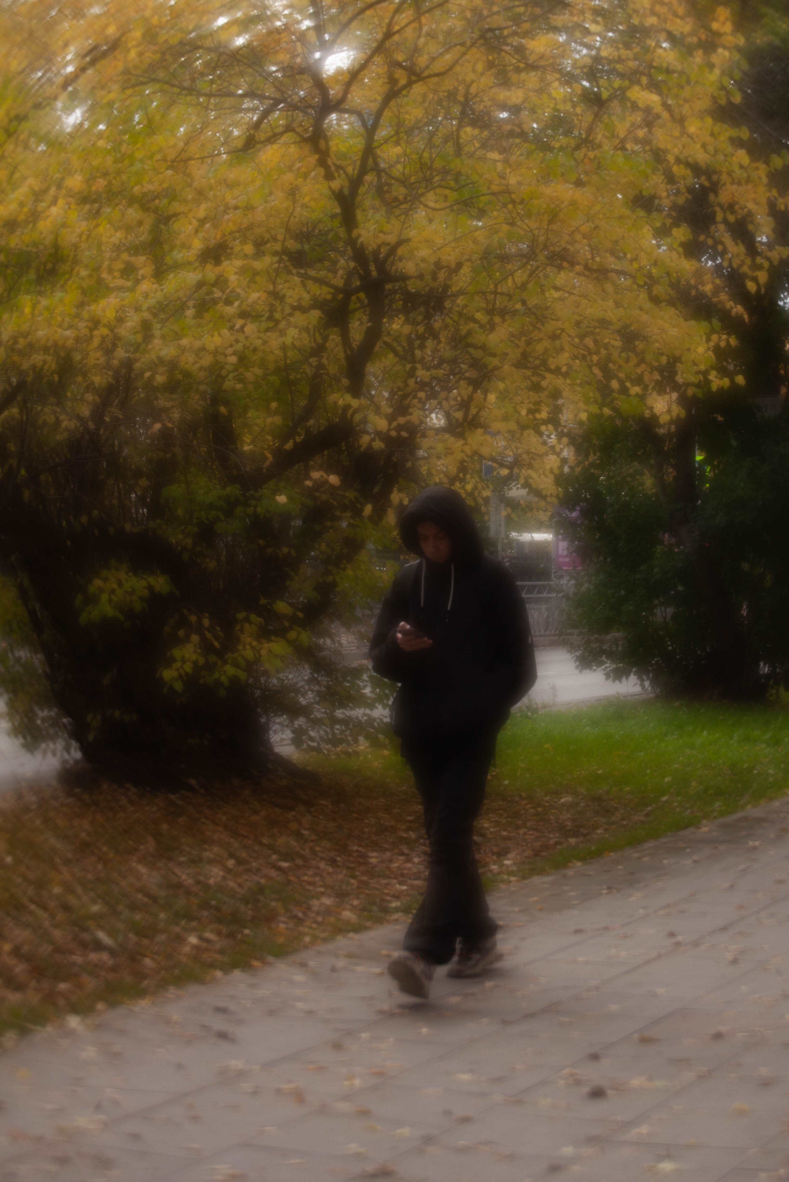 Пока так.  (7)