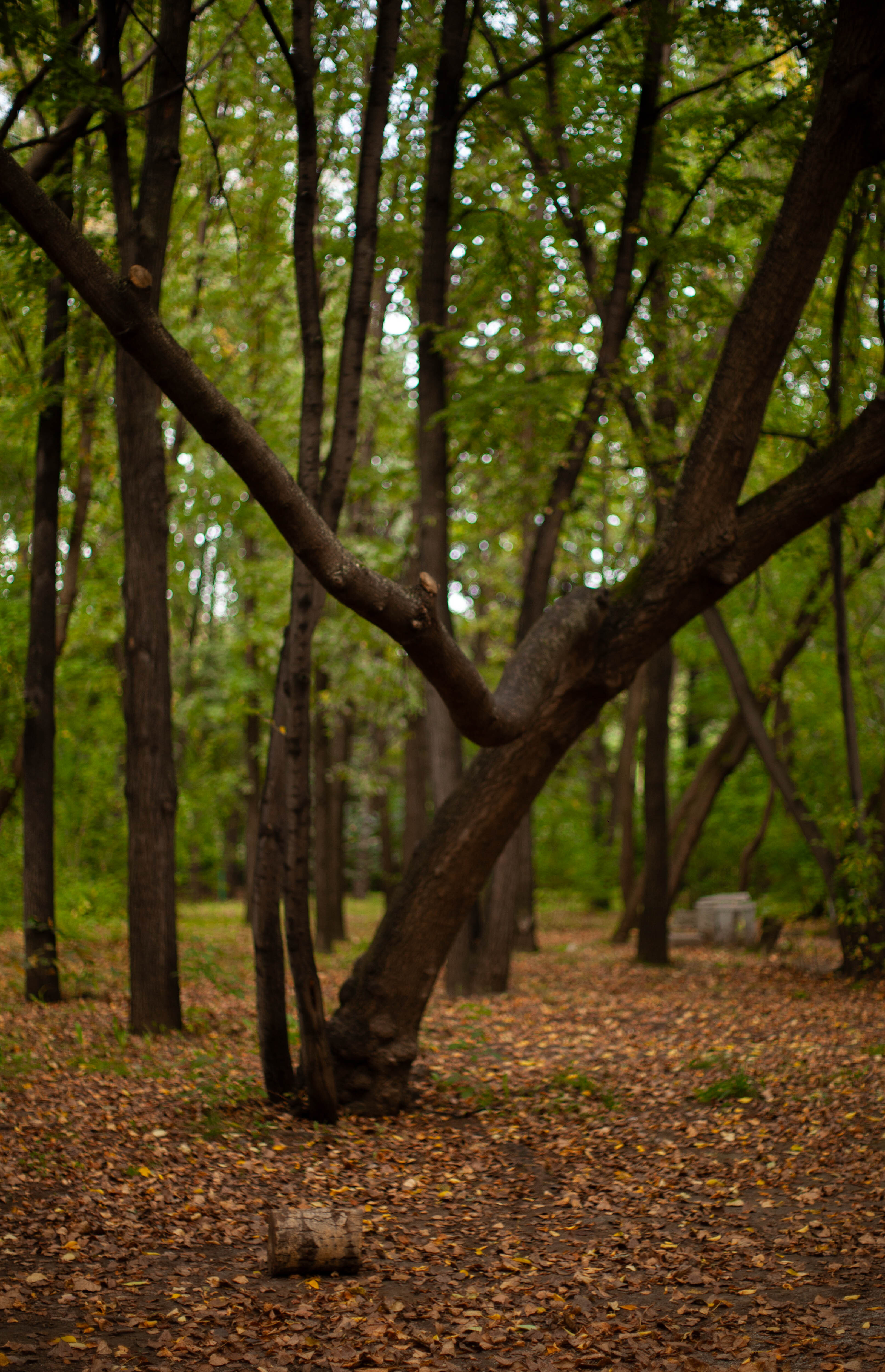 Пока так.  (3)