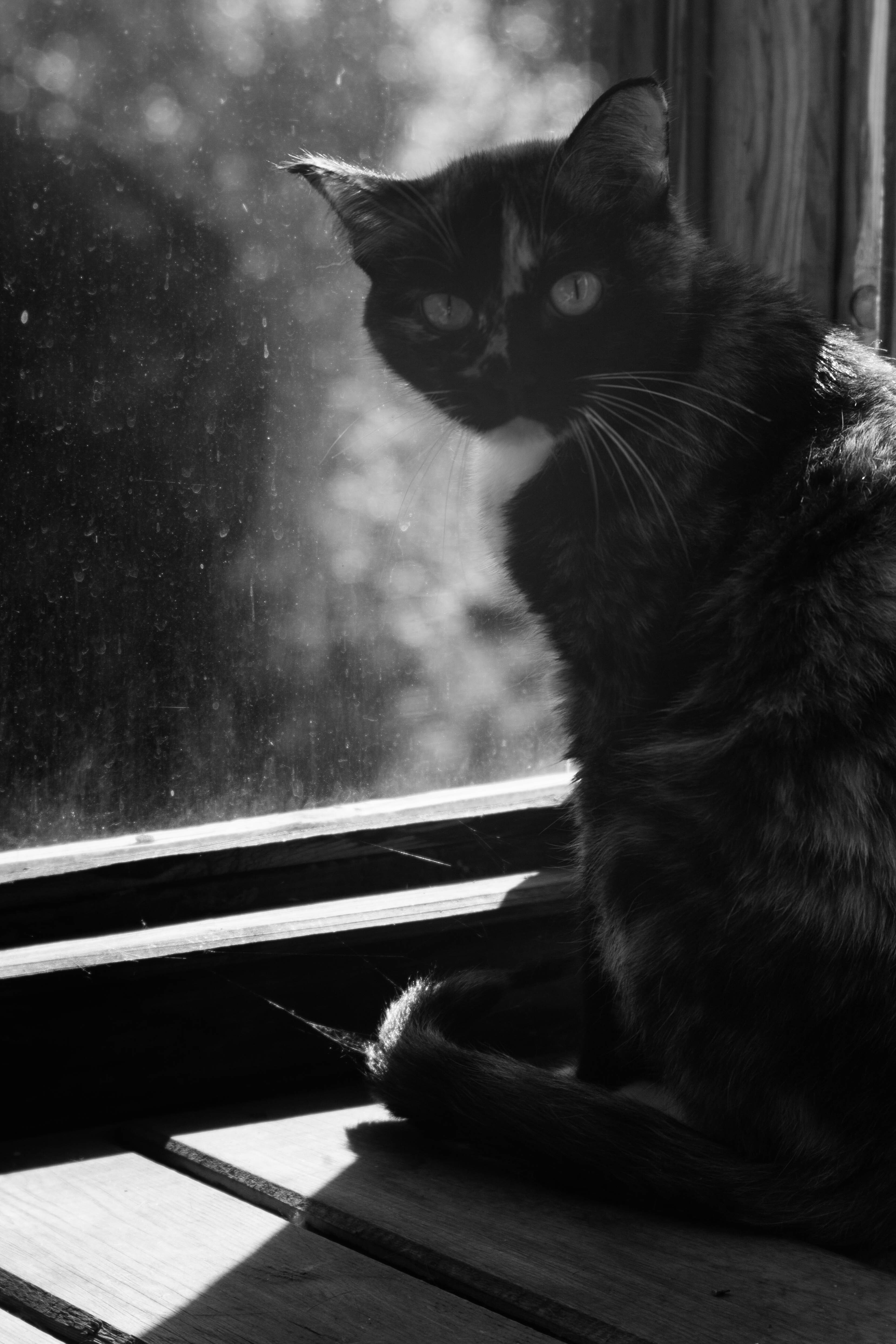 Пока так.  (2)