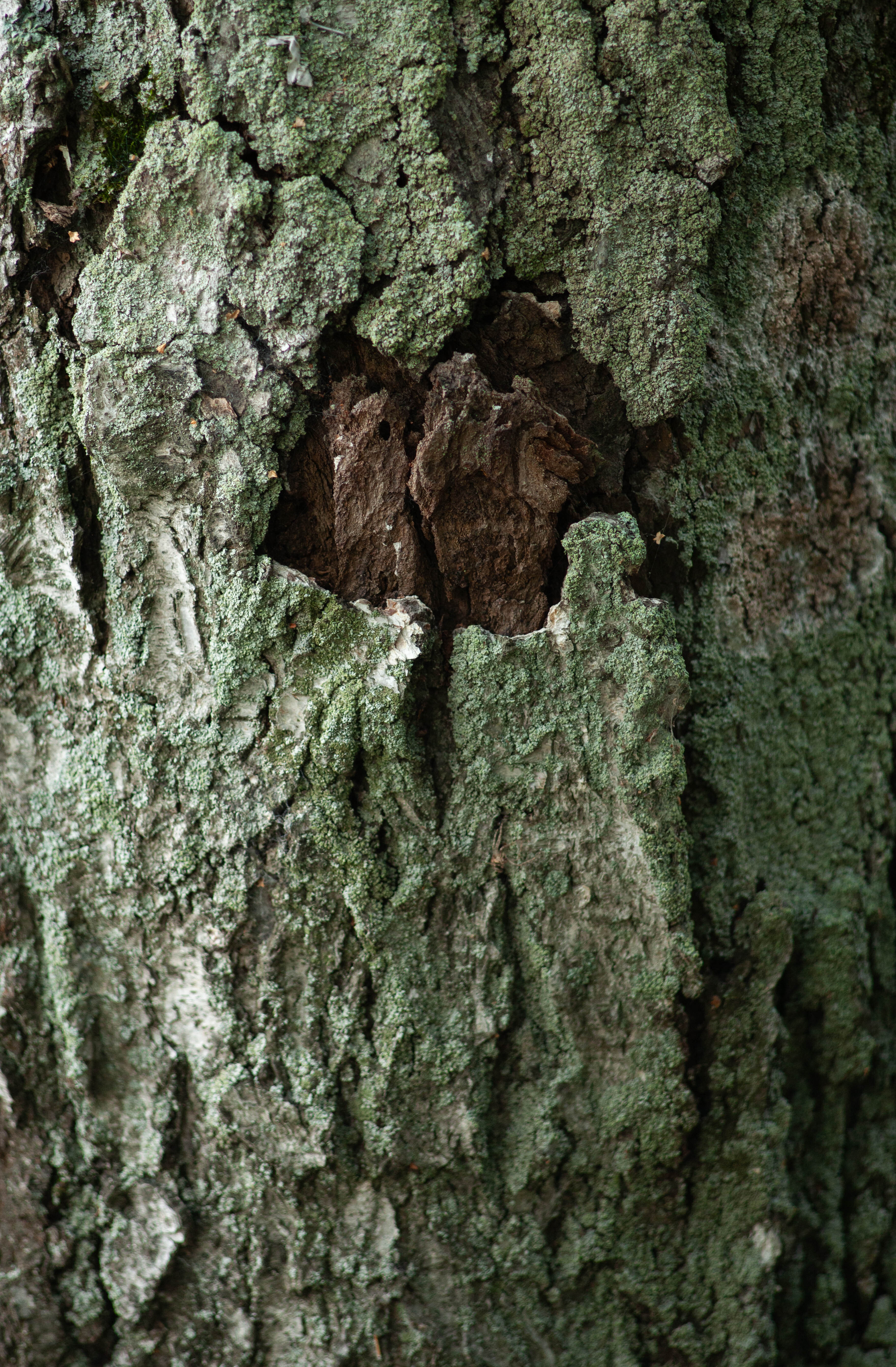 Пока так.  (1)