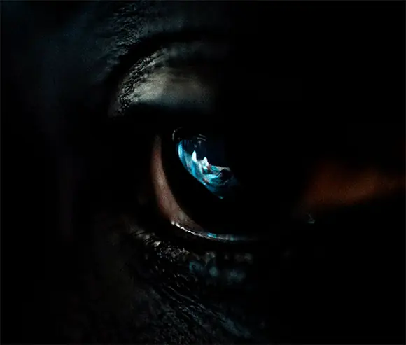 Чужой Земля (Alien Earth, 2025) (8) — GIF