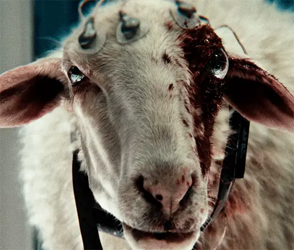 Чужой Земля (Alien Earth), 2025, шоураннер Ной Хоули (6) — GIF