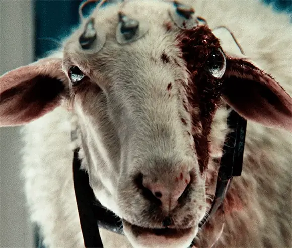 Чужой Земля (Alien Earth), 2025, шоураннер Ной Хоули (6) — GIF