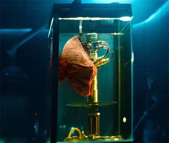 Чужой Земля (Alien Earth), 2025, шоураннер Ной Хоули (4) — GIF