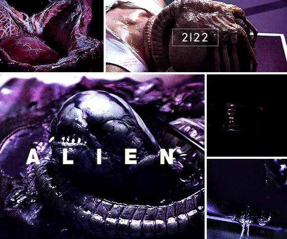 Чужой (Alien), культовая франшиза о ксеноморфах (4) — GIF