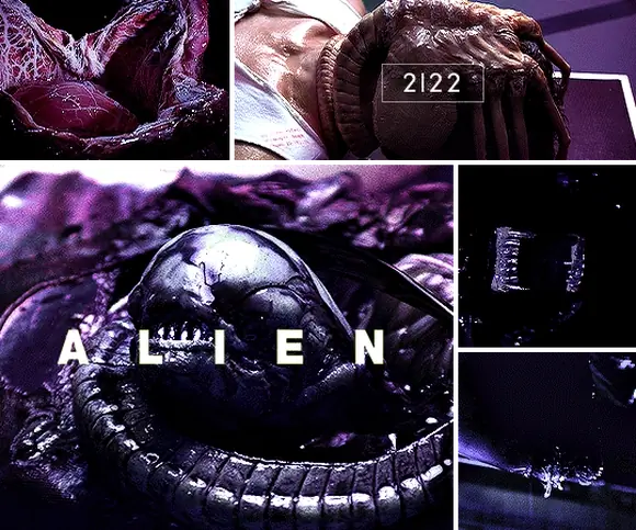 Чужой (Alien), культовая франшиза о ксеноморфах (4) — GIF