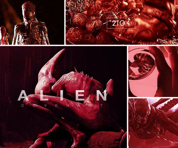 Чужой (Alien), культовая франшиза о ксеноморфах (2) — GIF