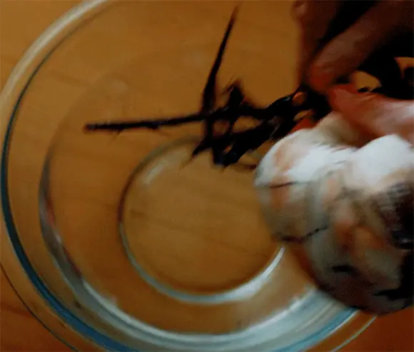 Орудия (Weapons, 2025), режиссёр Зак Креггер (5) — GIF