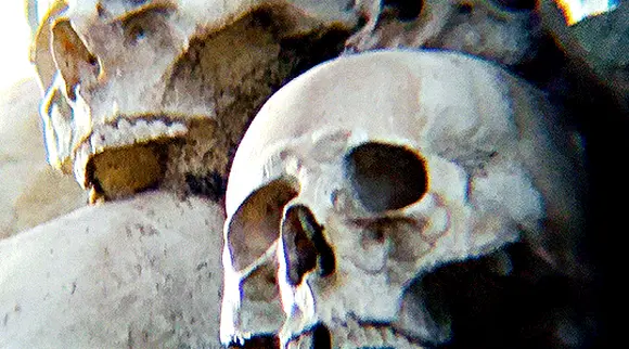 28 лет спустя (28 Years Later, 2025), режиссёр Дэнни Бойл (5) — GIF