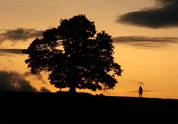 28 лет спустя (28 Years Later, 2025), режиссёр Дэнни Бойл (7) (1) — GIF