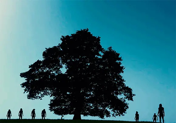 28 лет спустя (28 Years Later, 2025), режиссёр Дэнни Бойл (4) (1) — GIF