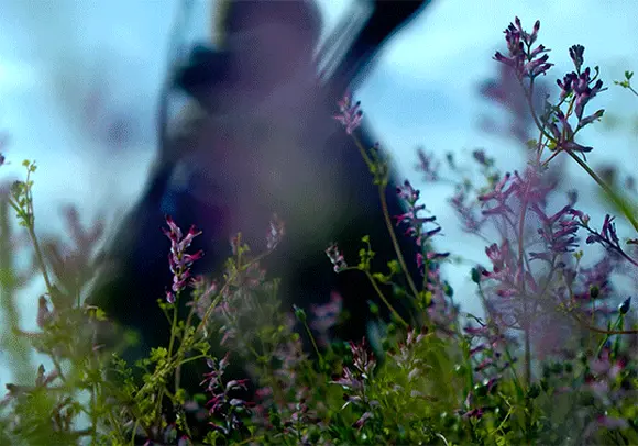 28 лет спустя (28 Years Later, 2025), режиссёр Дэнни Бойл (2) (1) — GIF