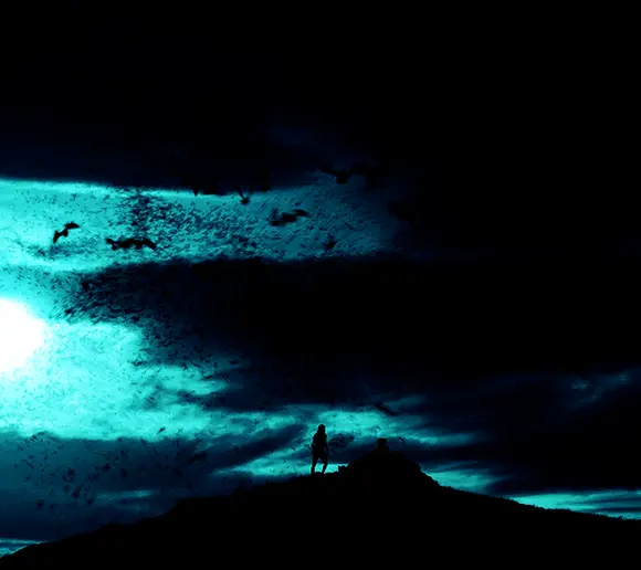 28 лет спустя (28 Years Later, 2025), режиссёр Дэнни Бойл (4) (2) — GIF