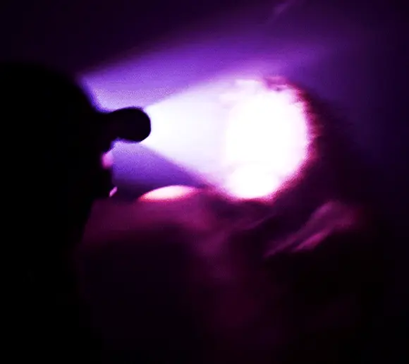 28 лет спустя (28 Years Later, 2025), режиссёр Дэнни Бойл (3) (2) — GIF