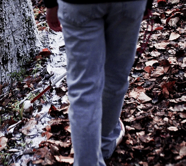 Верни её из мёртвых (Bring Her Back, 2025), режиссёр Дэнни Филиппу, Майкл Филиппу (1) — GIF