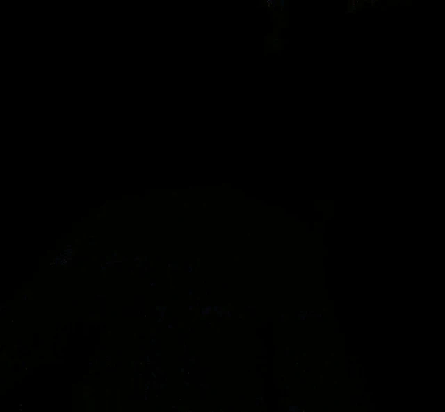 Орудия (Weapons, 2025), режиссёр Зак Креггер (4) — GIF