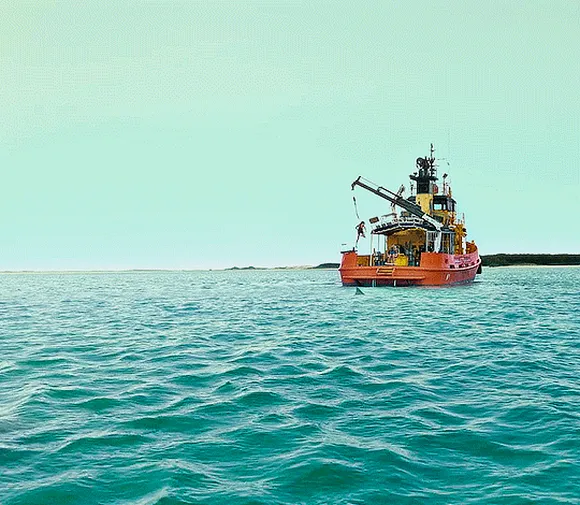 Хищные твари (Dangerous Animals, 2025), режиссёр Шон Бирн (3) — GIF