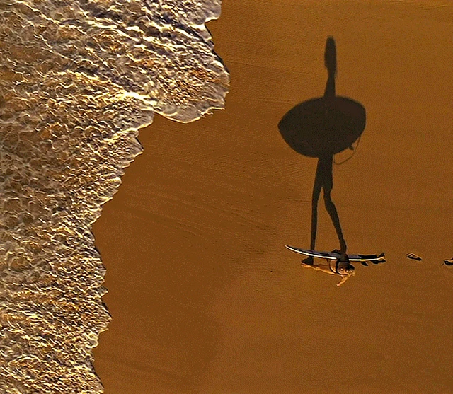 Хищные твари (Dangerous Animals, 2025), режиссёр Шон Бирн (1) — GIF