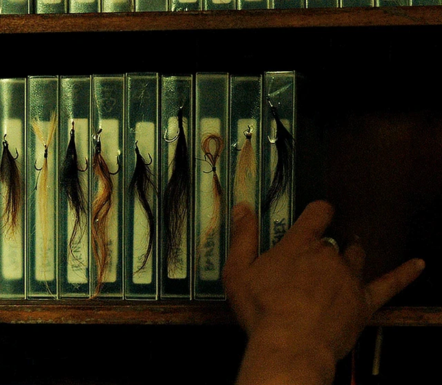 Хищные твари (Dangerous Animals, 2025), режиссёр Шон Бирн — GIF