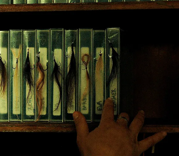 Хищные твари (Dangerous Animals, 2025), режиссёр Шон Бирн — GIF