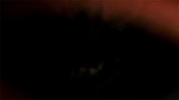 Пункт назначения (Final Destination, 2000-2025) (1) — GIF