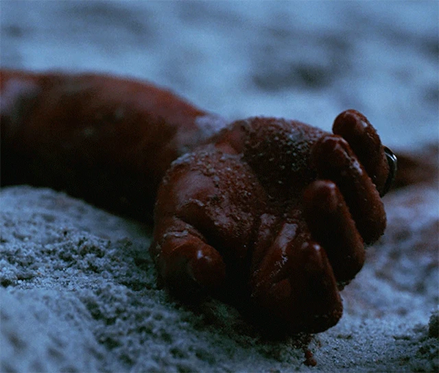 Drew Hancock Компаньон (Companion, 2025), режиссёр Дрю Хэнкок (1) — GIF