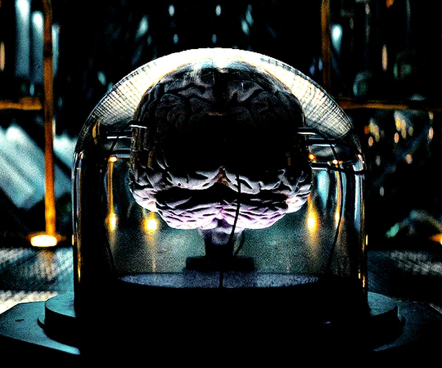 Фоллаут (Fallout, 2024), шоураннеры Женева Робертсон-Дуорет, Грэм Вагнер (3) — Кино GIF