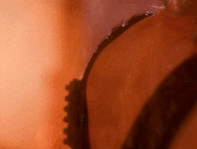 Сериал Лексс (Lexx, 1997-2002), рабыня любви (Ева Хаберманн) (7) — Кино GIF