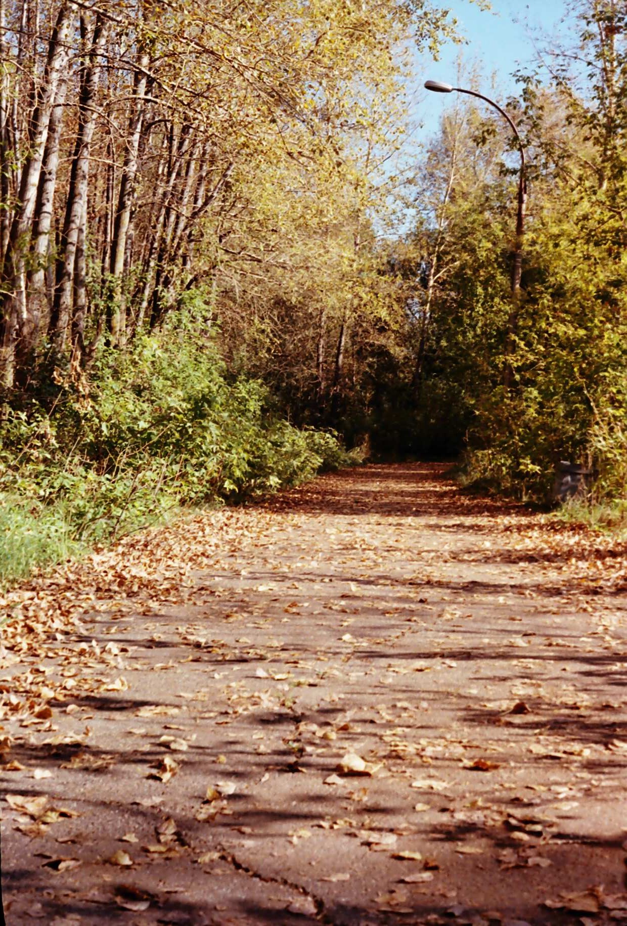 ...a path leading into autumn