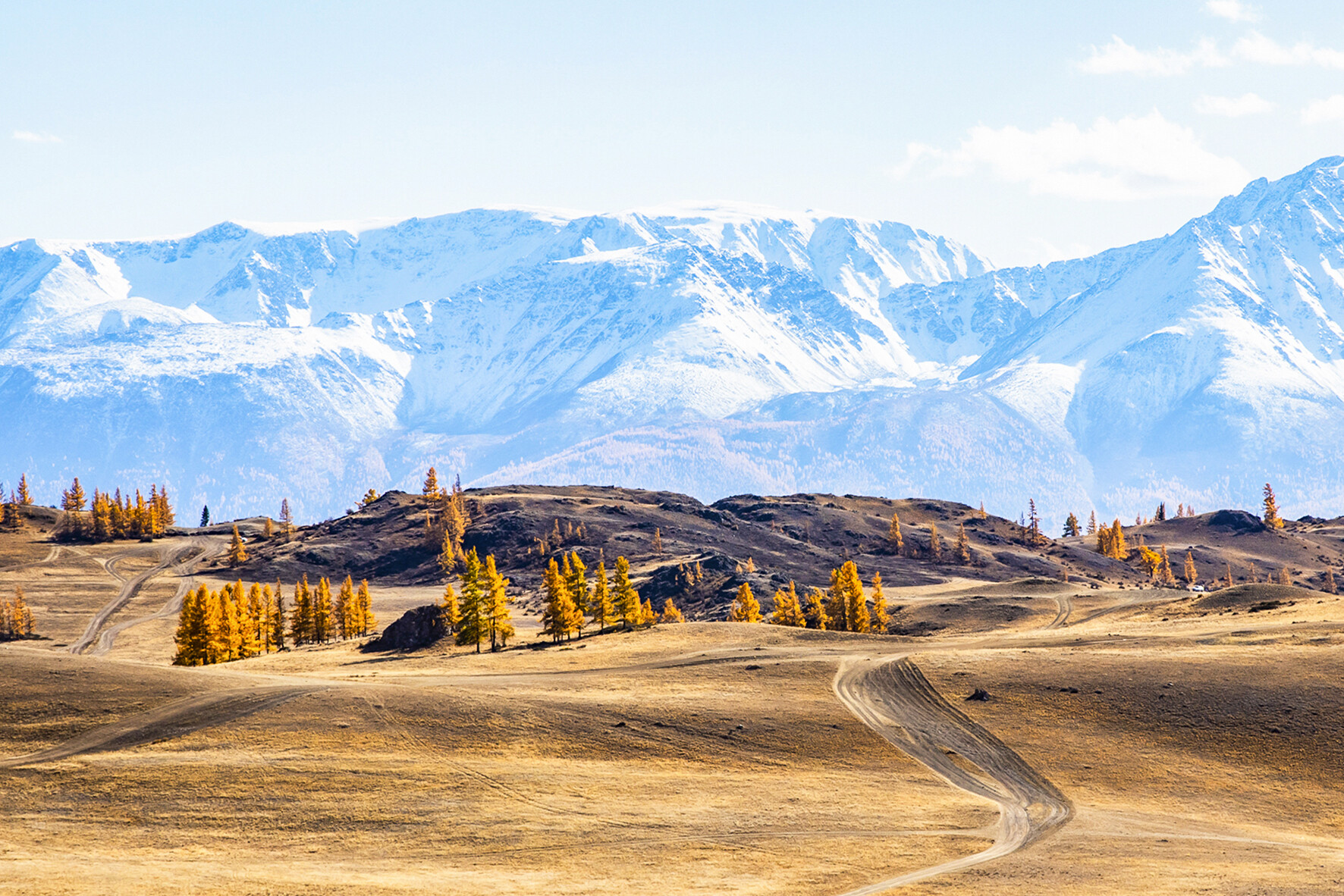 Северо-Чуйский хребет (Горный Алтай) - это не просто место на карте, а живая энциклопедия природы, полная величия и восхищения, где каждая тропа...