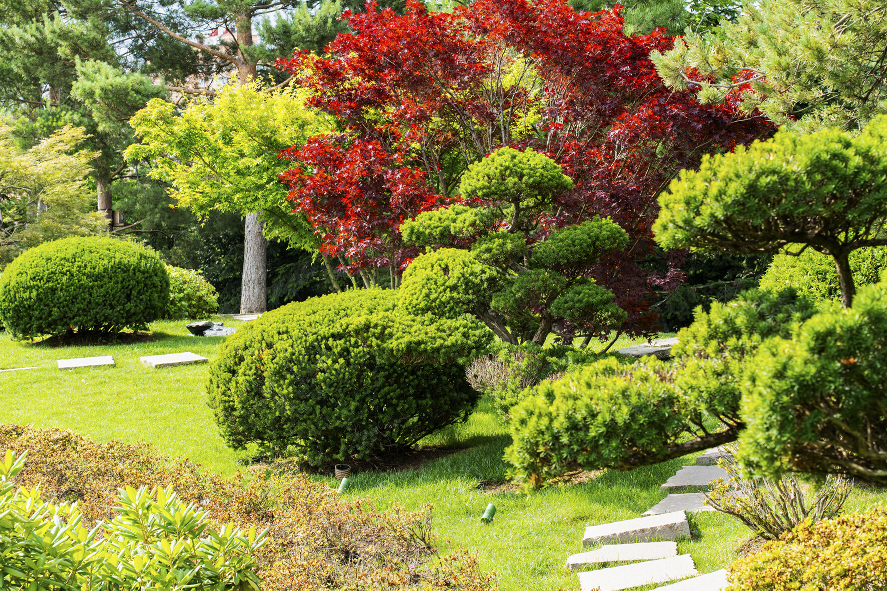 Японский сад в парке Галицкого в Краснодаре - место уединения, здесь полностью погружаешься в атмосферу страны восходящего солнца. 